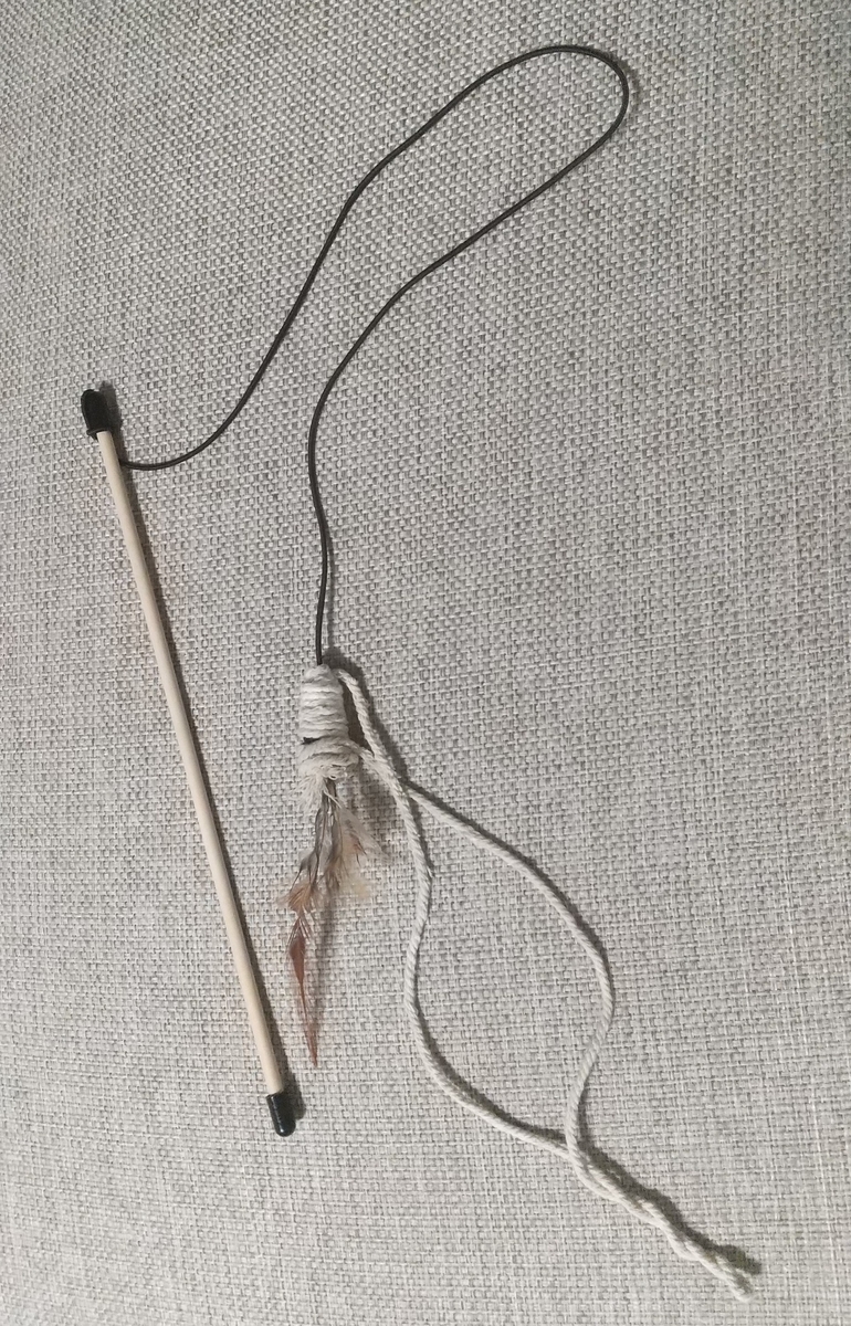 f:id:tarojiroko:20191119203739j:plain