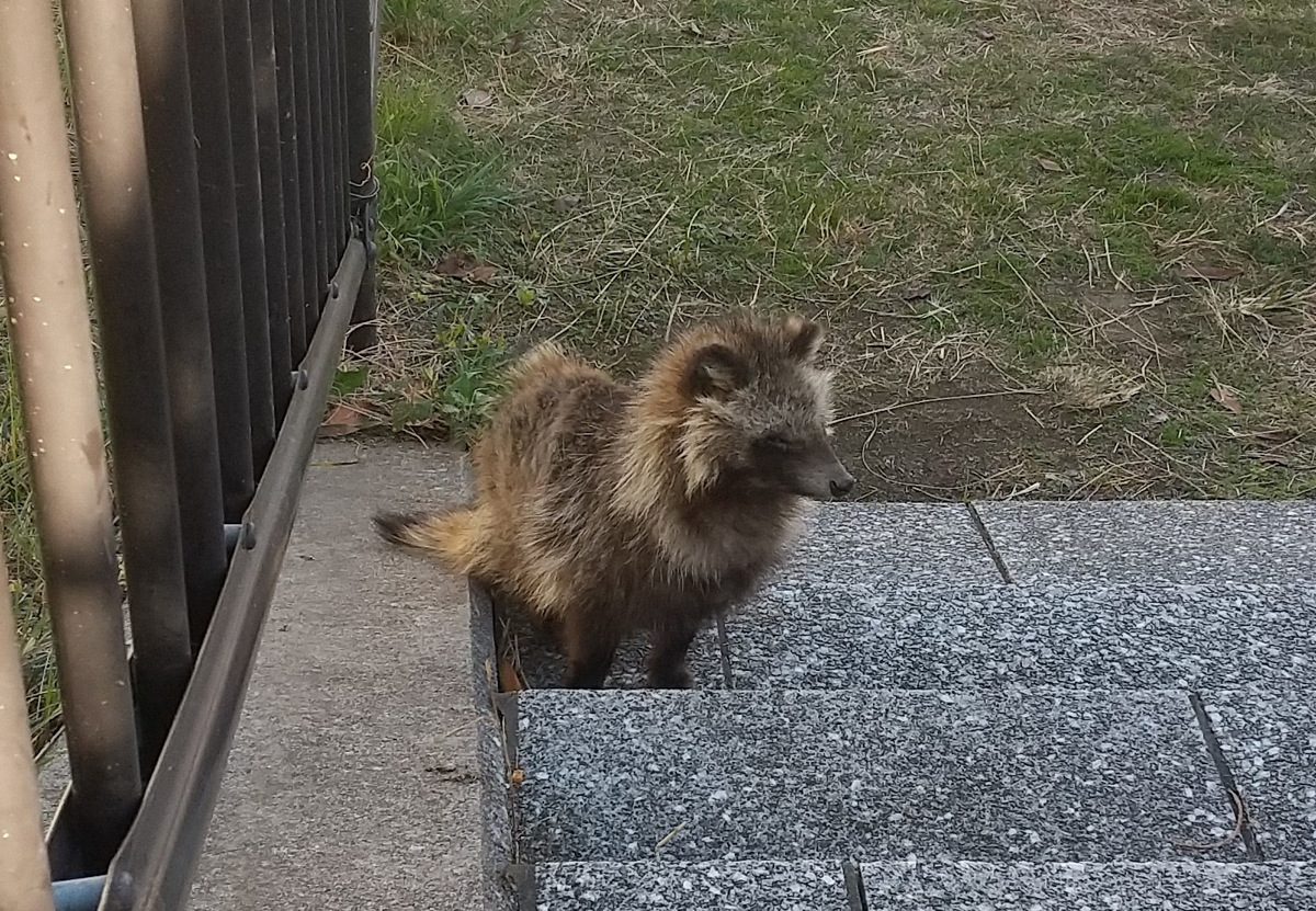 f:id:tarojiroko:20191121143013j:plain f:id:tarojiroko:20191121143013j:plain