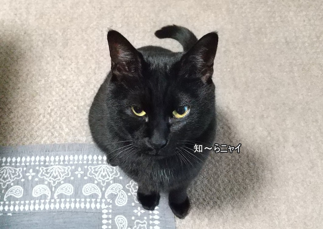 f:id:tarojiroko:20191223173602j:plain f:id:tarojiroko:20191223173602j:plain