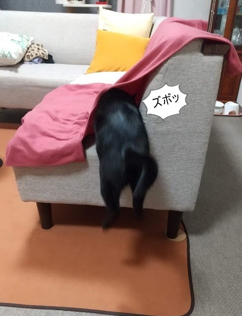 f:id:tarojiroko:20200129170341j:plain