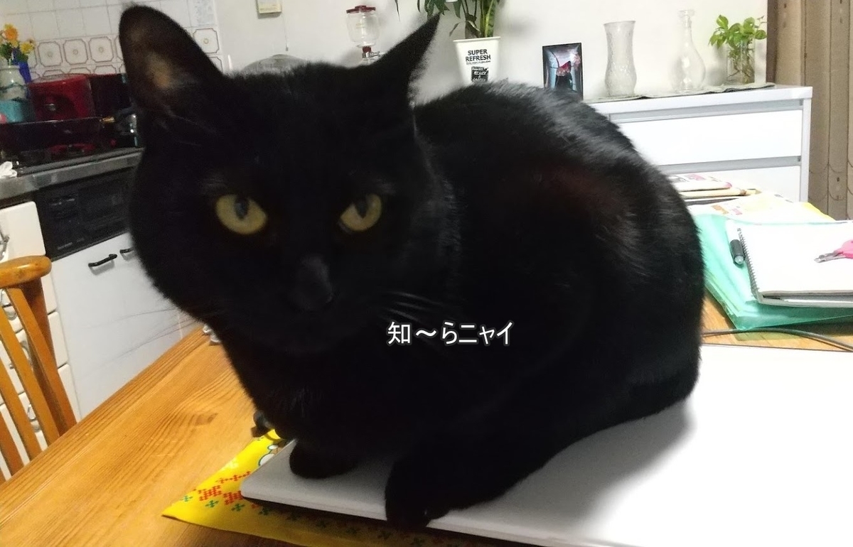 f:id:tarojiroko:20200210153625j:plain