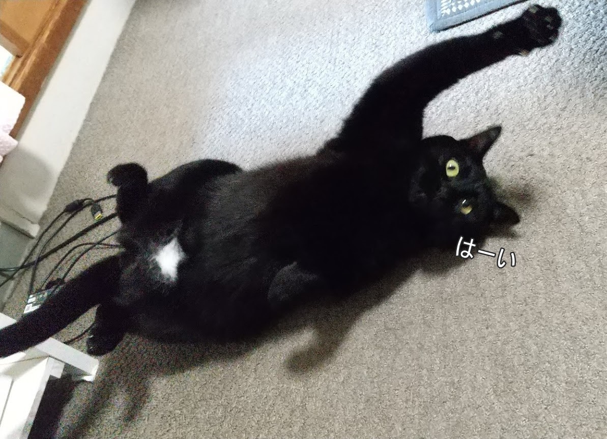 f:id:tarojiroko:20200227135104j:plain f:id:tarojiroko:20200227135104j:plain