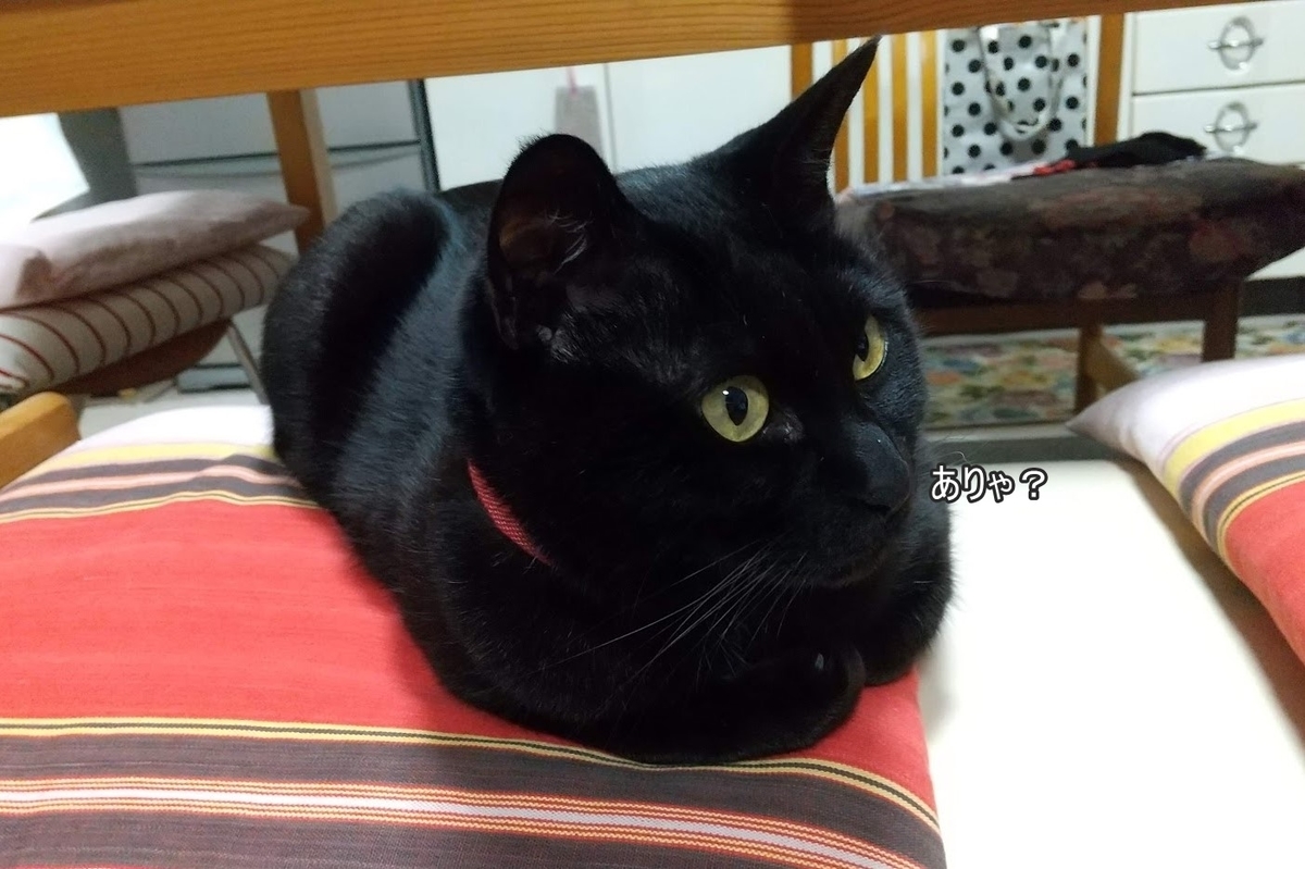 f:id:tarojiroko:20200317155032j:plain