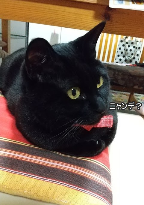 f:id:tarojiroko:20200317155049j:plain