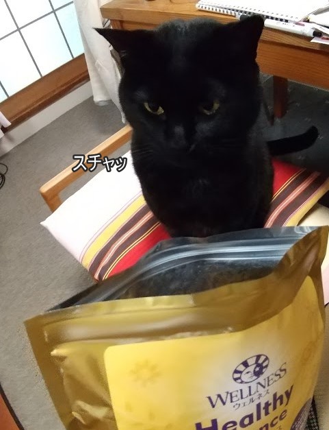 f:id:tarojiroko:20200404093111j:plain