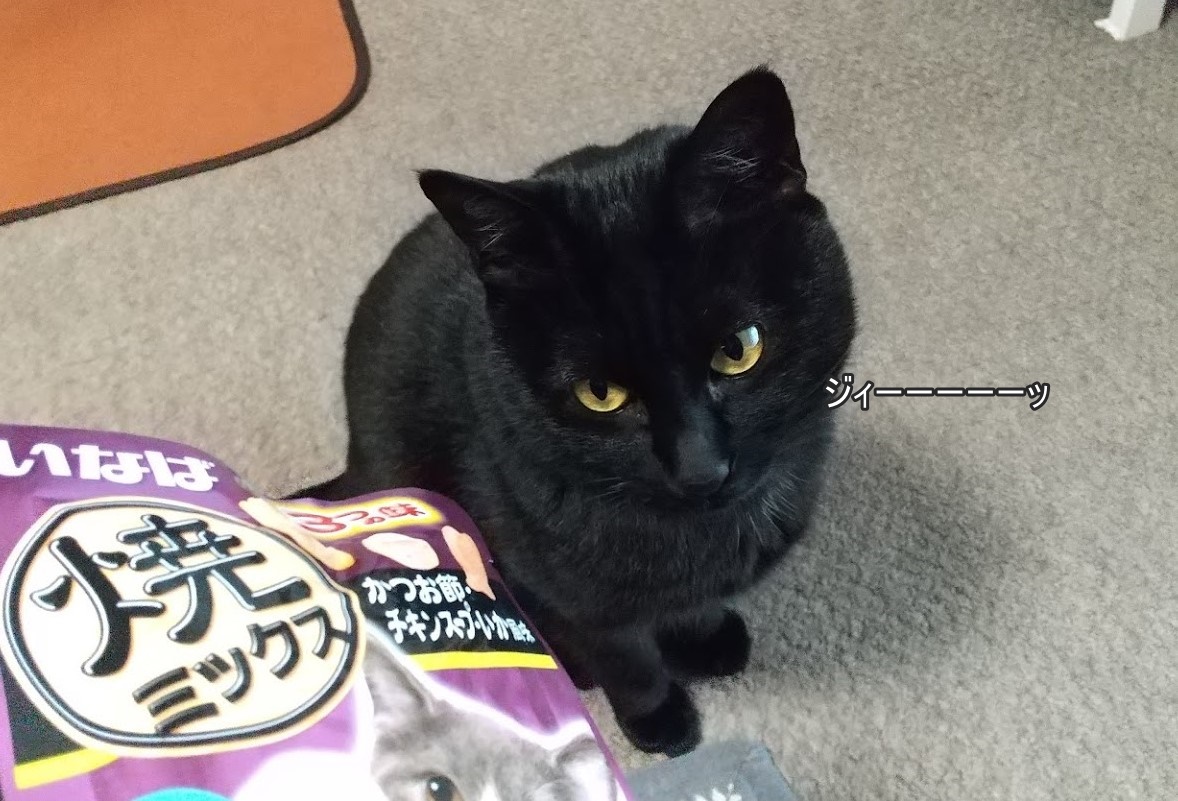 f:id:tarojiroko:20200423204444j:plain f:id:tarojiroko:20200423204444j:plain