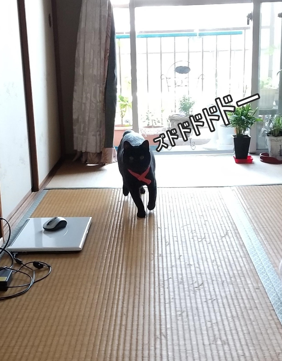 f:id:tarojiroko:20200523161128j:plain