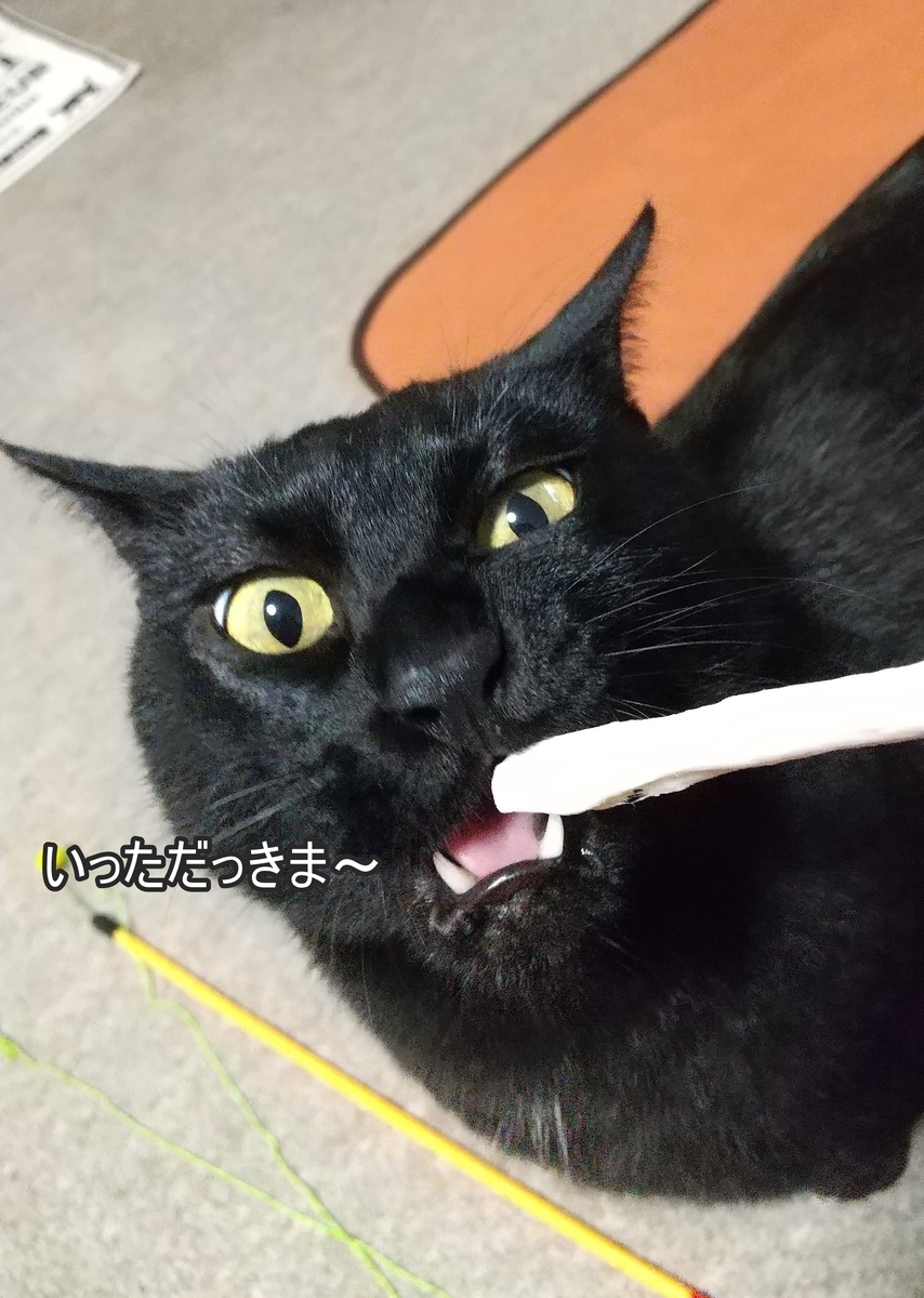 f:id:tarojiroko:20200524162150j:plain
