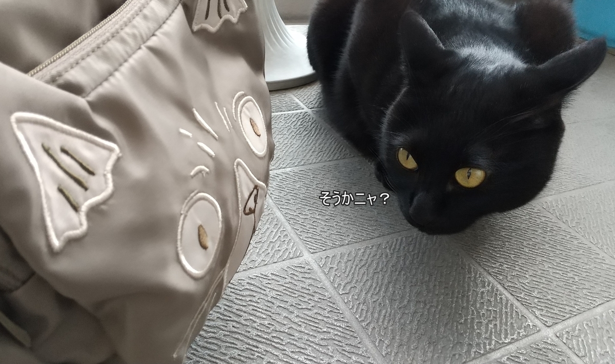 f:id:tarojiroko:20200525155851j:plain