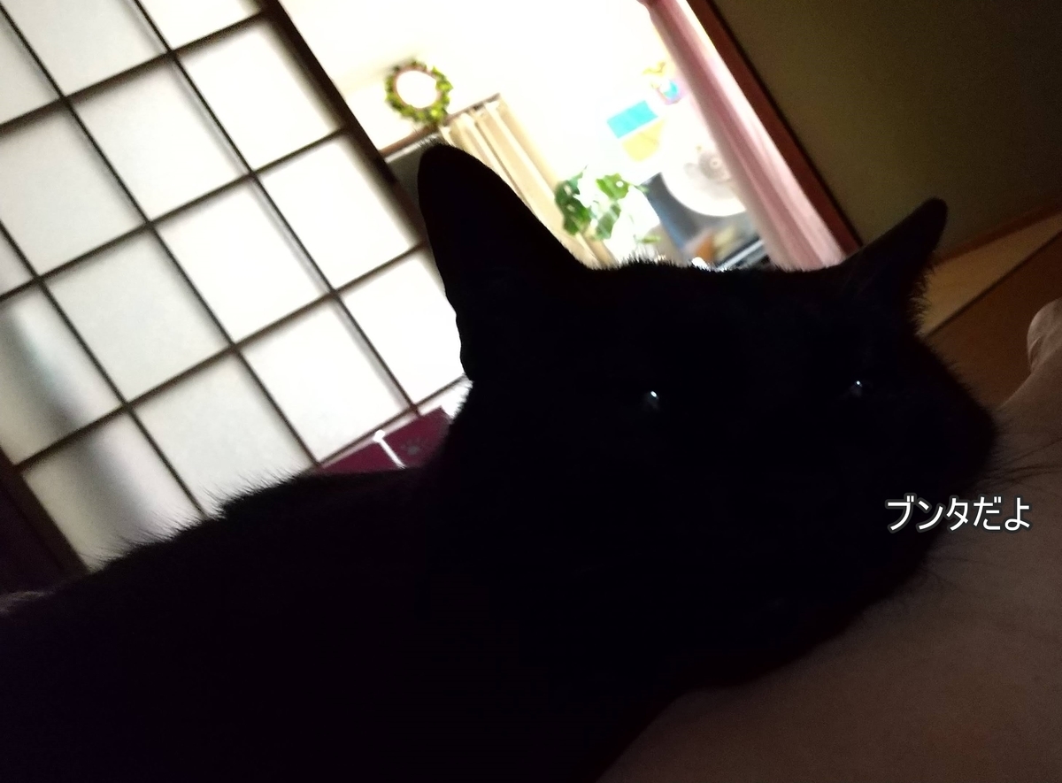 f:id:tarojiroko:20200615054401j:plain