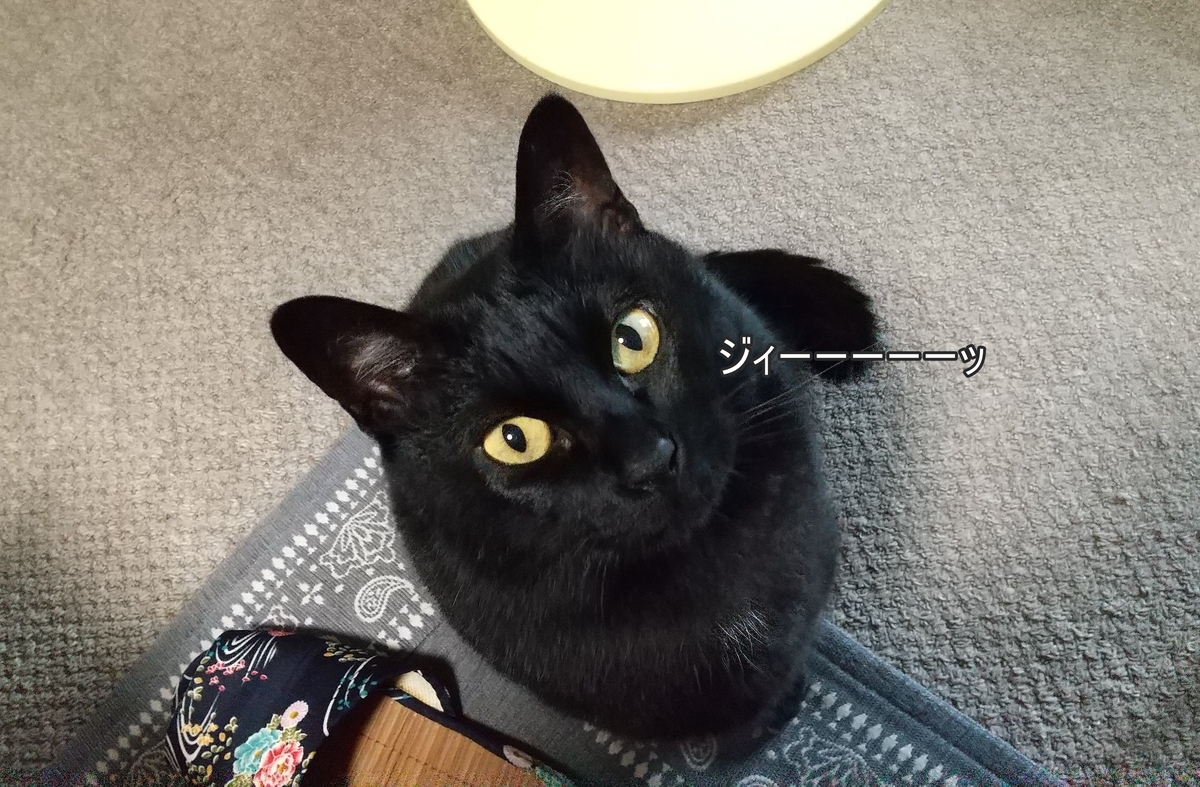 f:id:tarojiroko:20200704101013j:plain