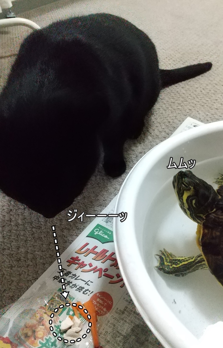 f:id:tarojiroko:20200802062204j:plain f:id:tarojiroko:20200802062204j:plain