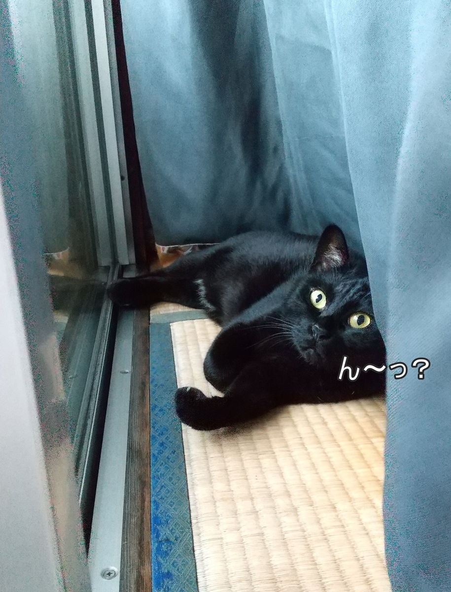 f:id:tarojiroko:20200814055338j:plain