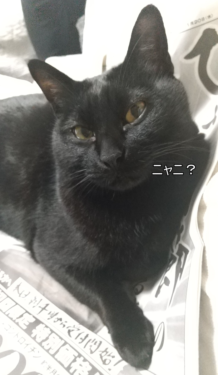 f:id:tarojiroko:20210120084100j:plain