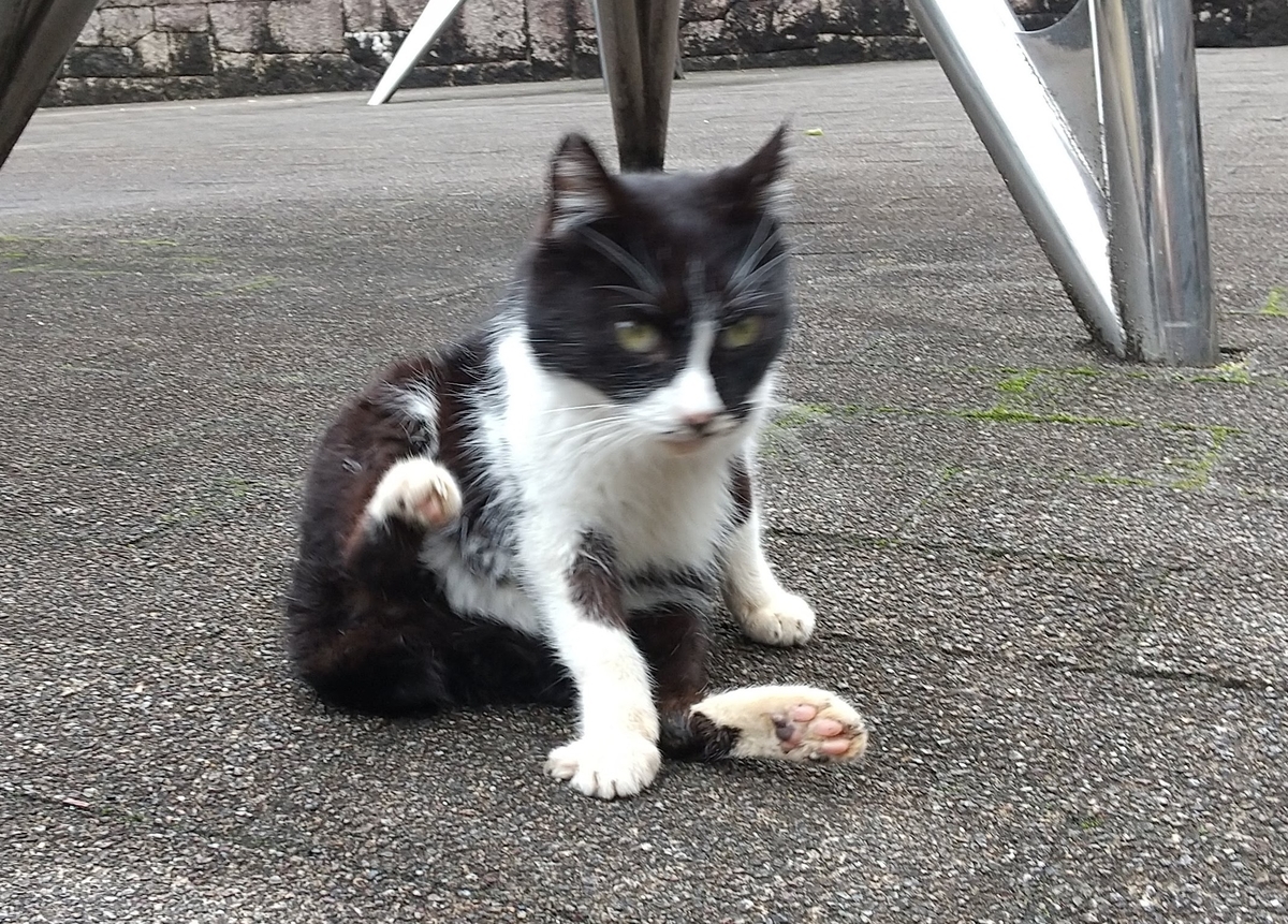 f:id:tarojiroko:20210124150357j:plain
