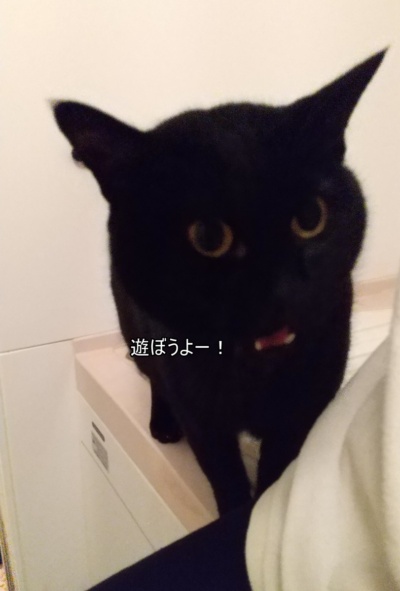 f:id:tarojiroko:20210124161806j:plain