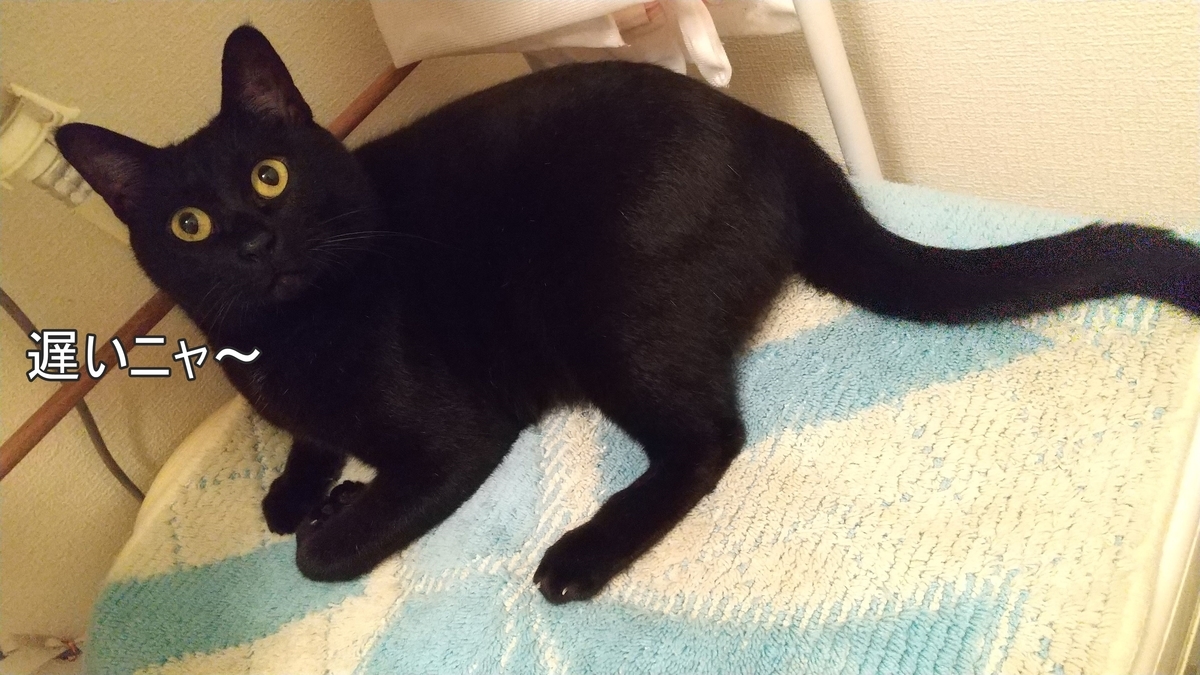 f:id:tarojiroko:20211010181701j:plain