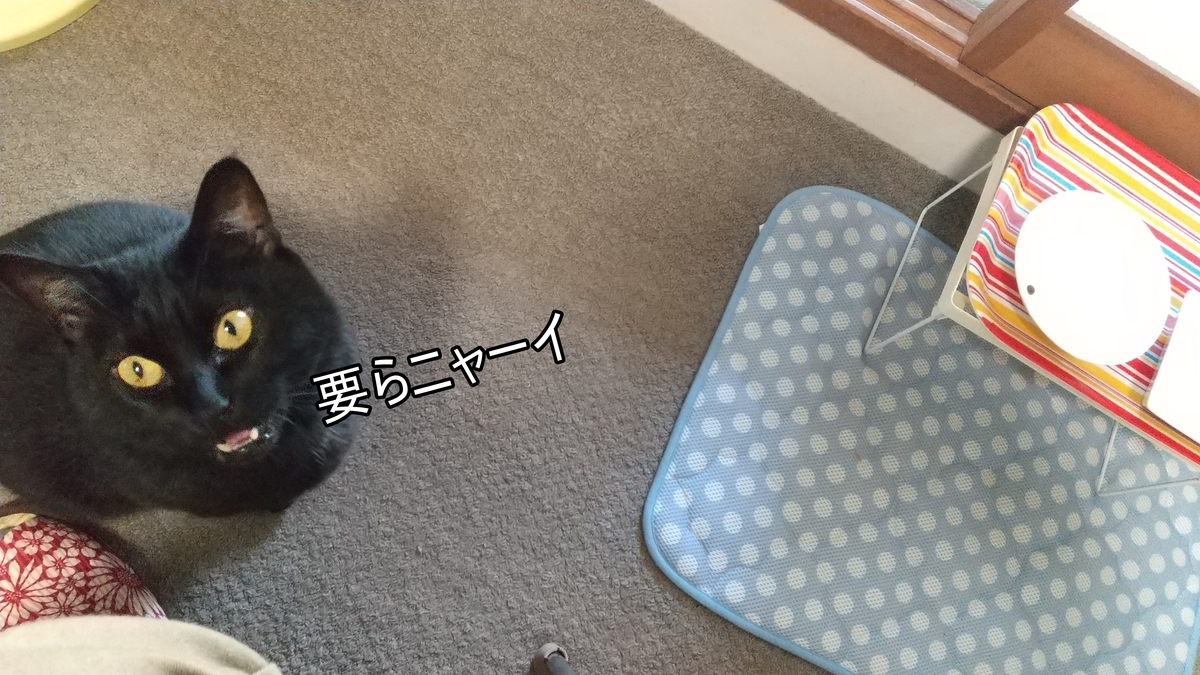 f:id:tarojiroko:20211018112718j:plain