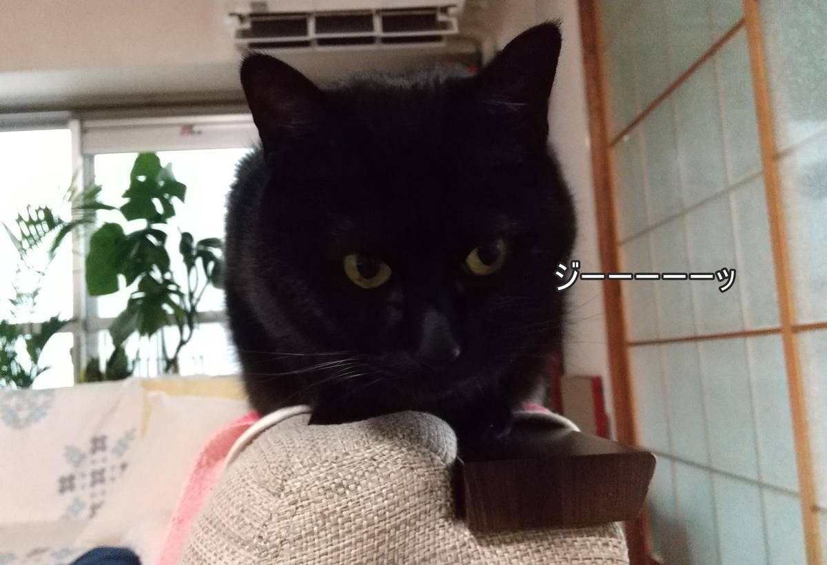 f:id:tarojiroko:20211220104052j:plain