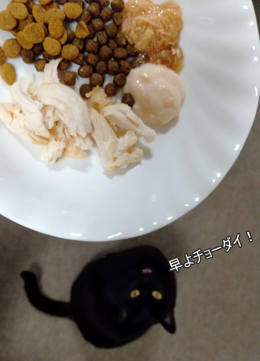 f:id:tarojiroko:20220101191107j:plain