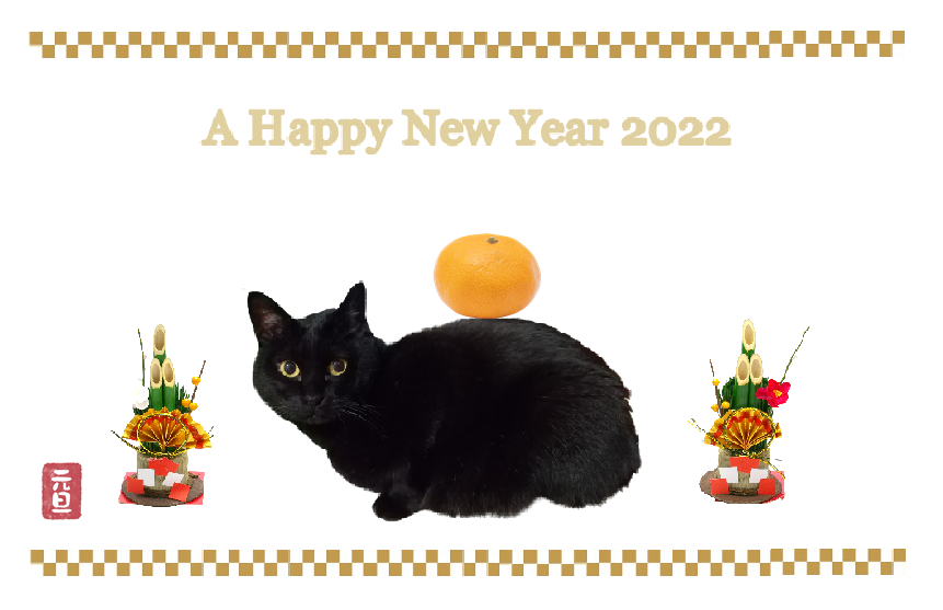 f:id:tarojiroko:20220111210622p:plain