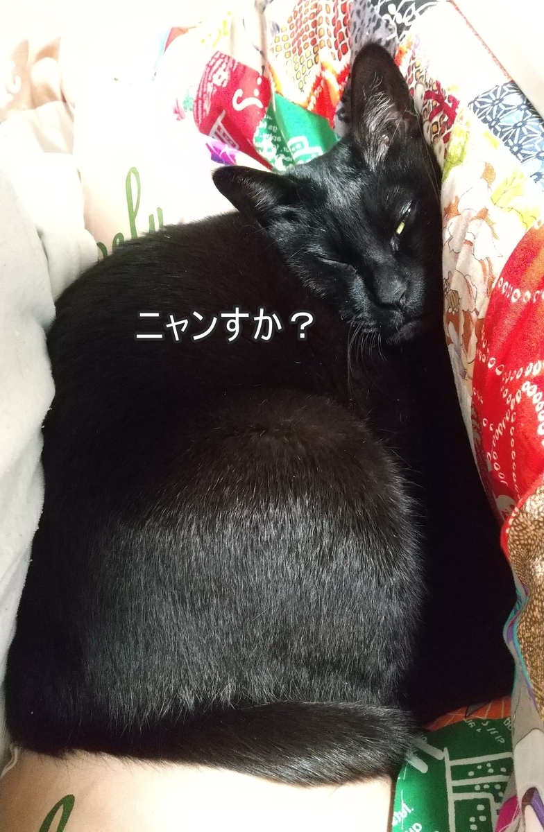 f:id:tarojiroko:20220211153225j:plain