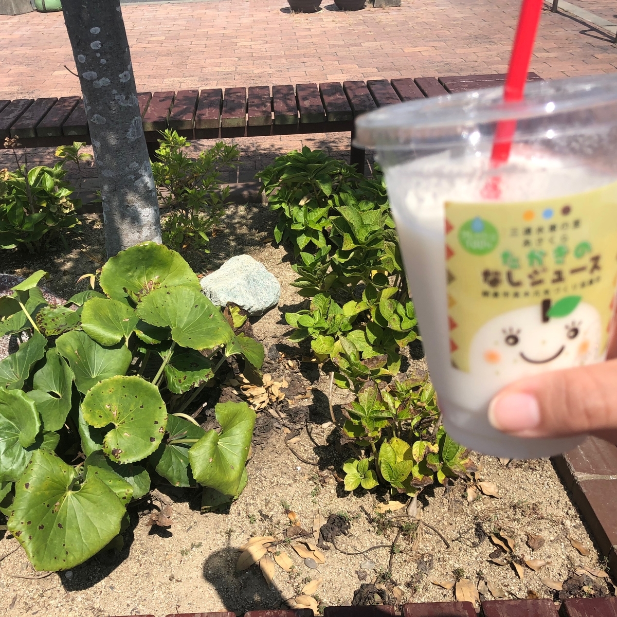 f:id:tarokuma:20190922154317j:plain f:id:tarokuma:20190922154317j:plain