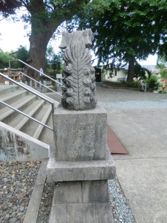 f:id:taron:20120603145248j:image