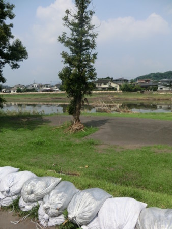 f:id:taron:20120726105012j:image f:id:taron:20120726105012j:image