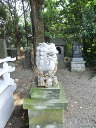 f:id:taron:20120726110139j:image