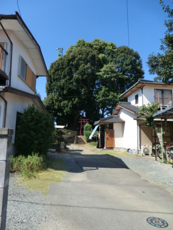 20121003133710