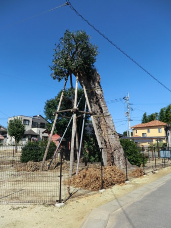f:id:taron:20121003141026j:image f:id:taron:20121003141026j:image