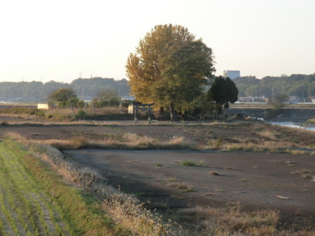 f:id:taron:20121125161213j:image f:id:taron:20121125161213j:image