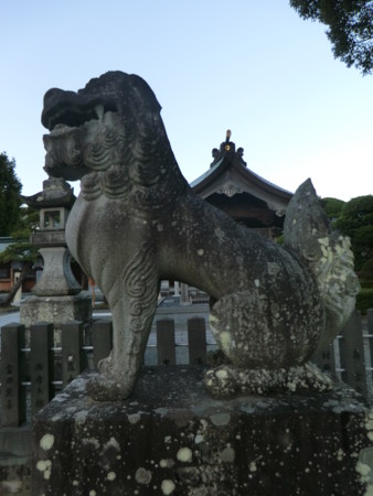 f:id:taron:20121127164444j:image