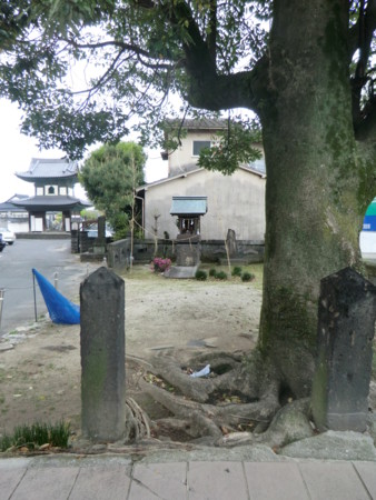 f:id:taron:20130407154906j:image