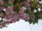 20150412114720
