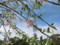 20160405140511