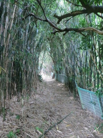 f:id:taron:20160707133603j:image