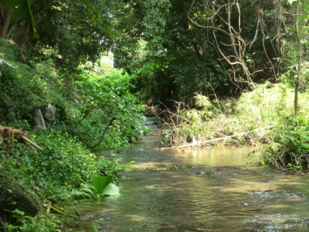 f:id:taron:20160804131958j:image