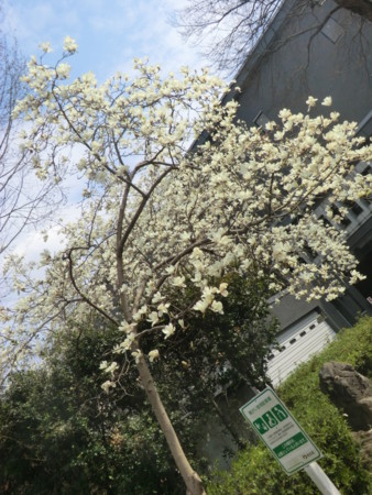 f:id:taron:20170326135856j:image