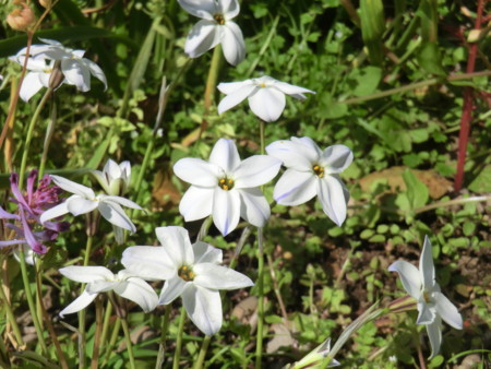 f:id:taron:20170328145438j:image