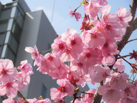 f:id:taron:20170330143557j:image