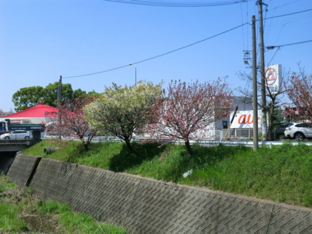 f:id:taron:20170414130547j:image