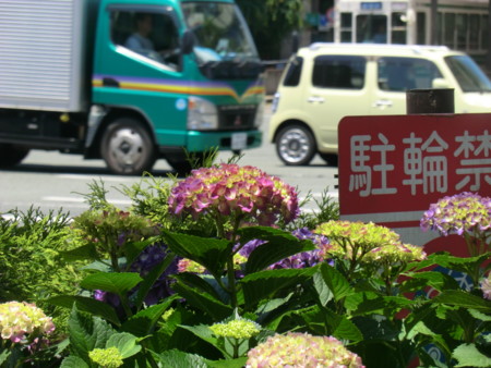 f:id:taron:20170528114216j:image