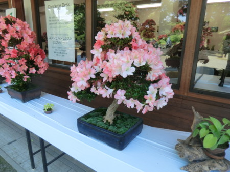 f:id:taron:20170528150353j:image