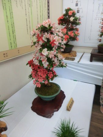 f:id:taron:20170528150436j:image