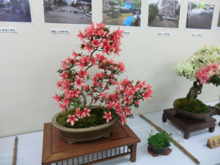 f:id:taron:20170528150443j:image