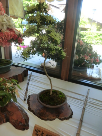 f:id:taron:20170528150539j:image