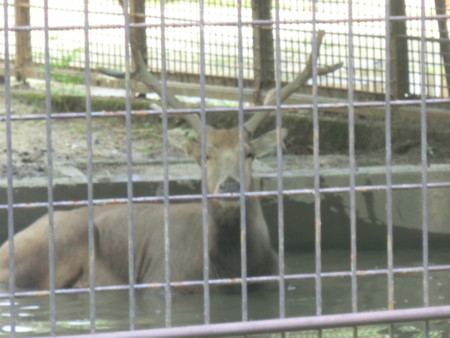 f:id:taron:20170811140420j:image