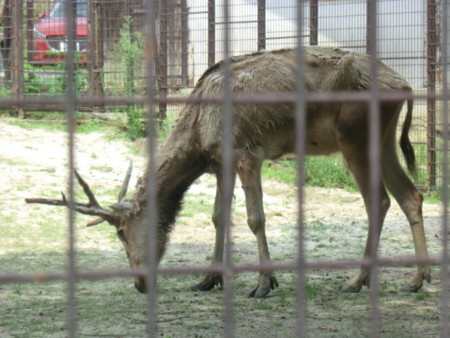 f:id:taron:20170811140519j:image